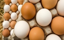 خبراء يكشفون عدد البيض المسموح تناوله في اليوم