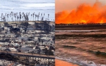 ارتفاع حصيلة ضحايا حرائق الغابات في هاواي إلى 67 