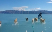 فيديو من غرينلاند يثير قلقا عالميا واسعا
