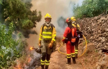 إخلاء المتجولين في منطقة حديقة عين حيمد بسبب حريق في منطقة احراش بالقرب من عين نقوبا وابوغوش